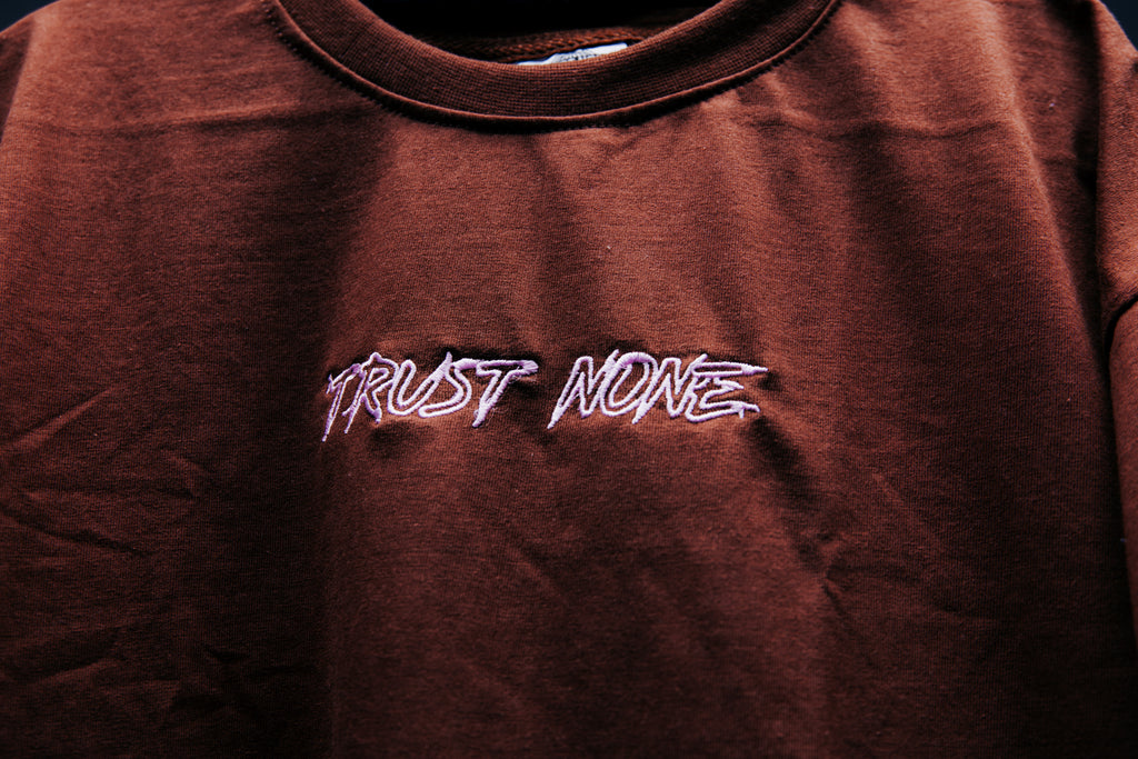 EMBROIDERED T SHIRT EVERYDAY USE