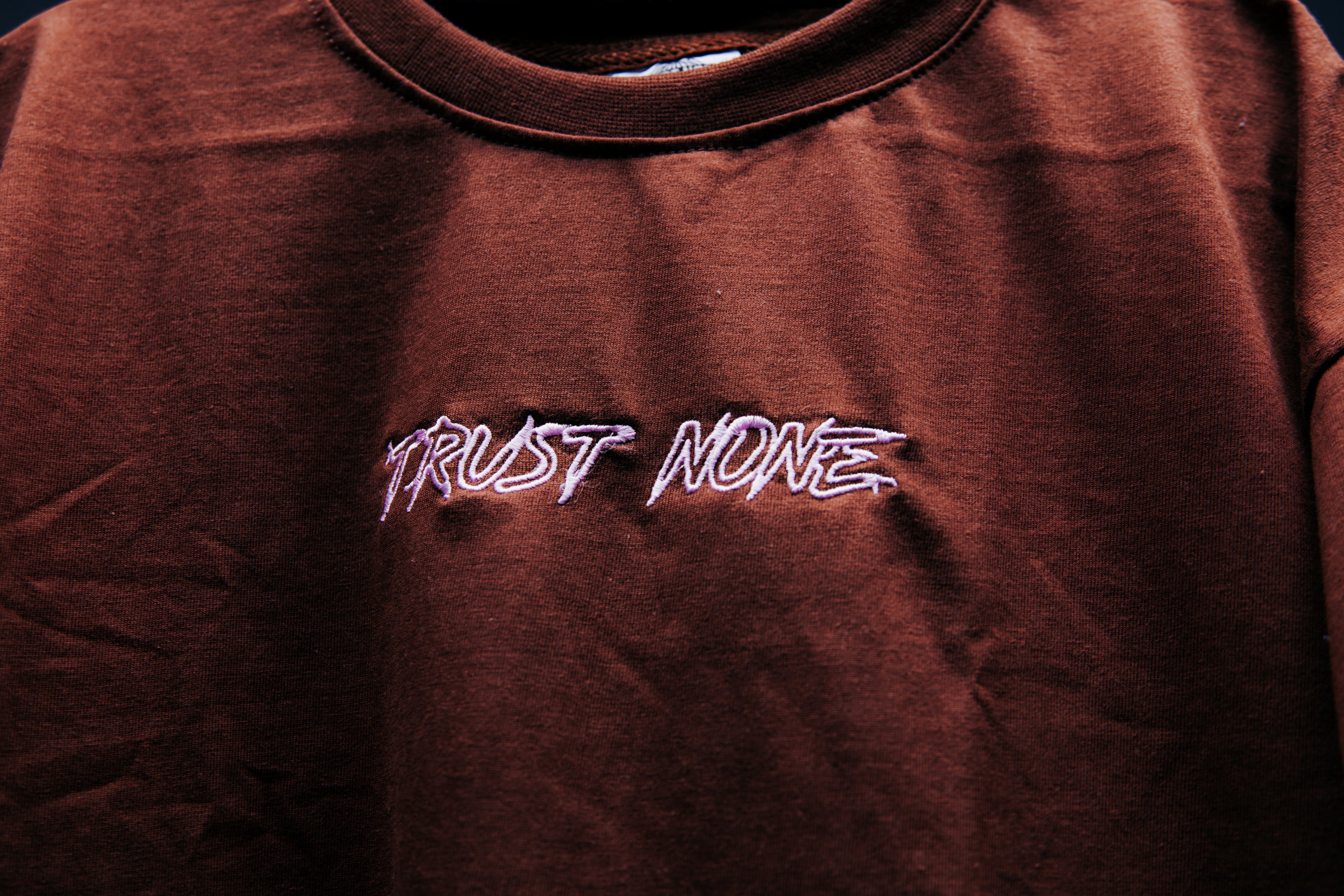 EMBROIDERED T SHIRT EVERYDAY USE